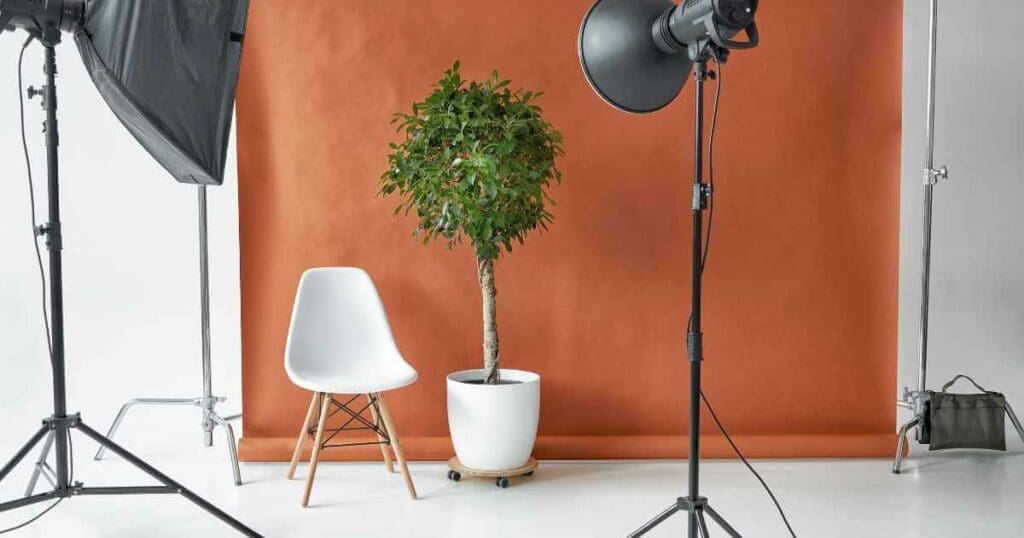 photography studio for professional picture